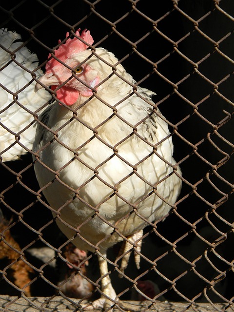 观众不仅能 观众不仅能