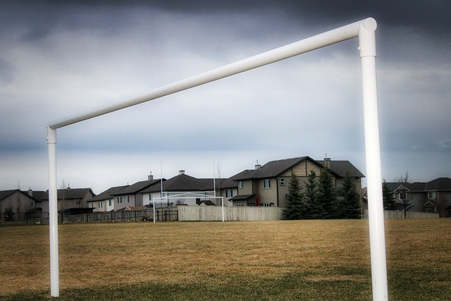 一笔大额投 一笔大额投