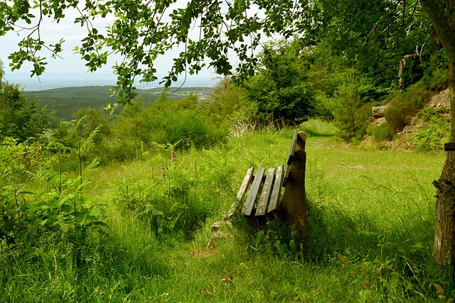 本次赛事的 本次赛事的