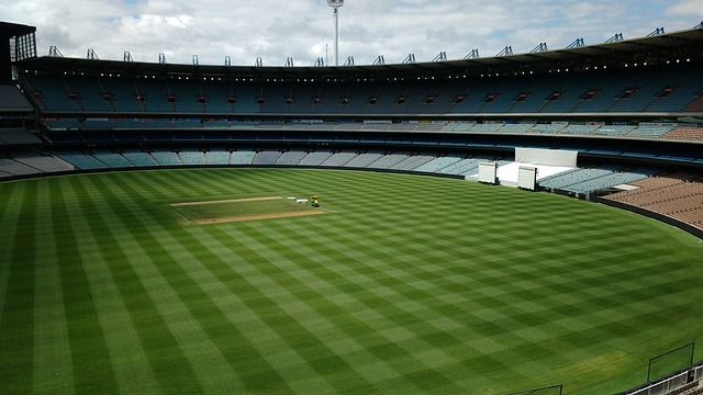 她们将在广 她们将在广