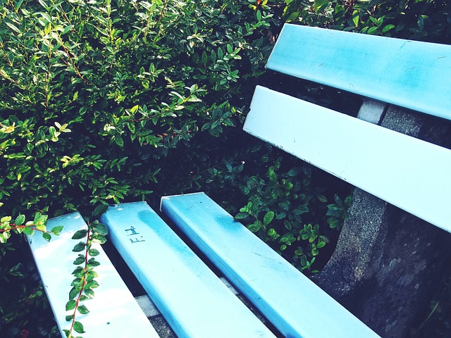 治转型的十 治转型的十