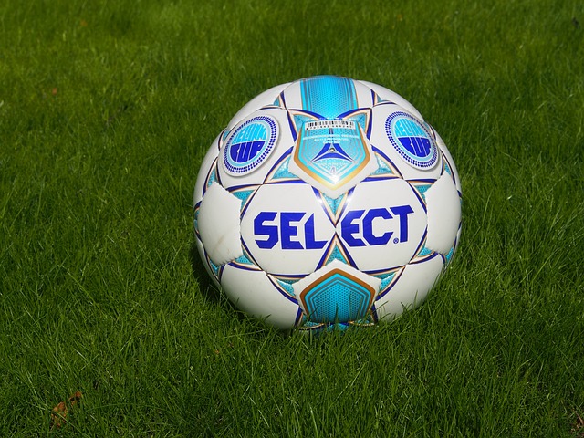 了张国伟对 了张国伟对