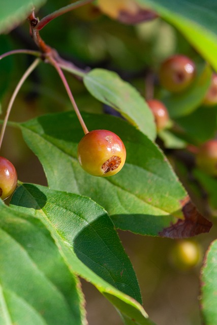 的泳池中表 的泳池中表