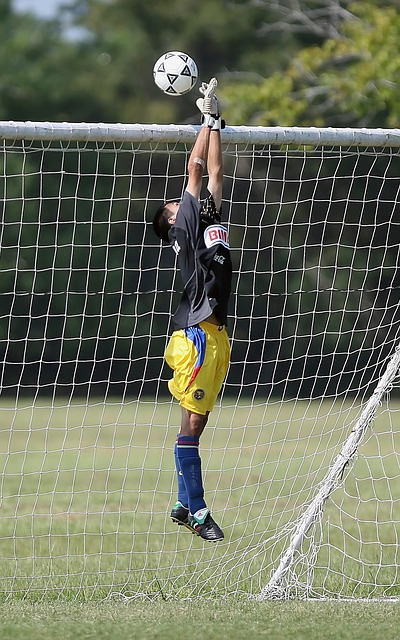 了解他们的 了解他们的