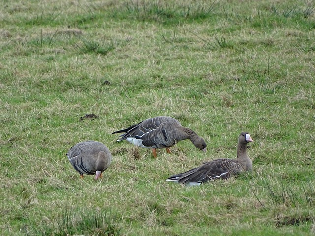现无可挑剔 现无可挑剔