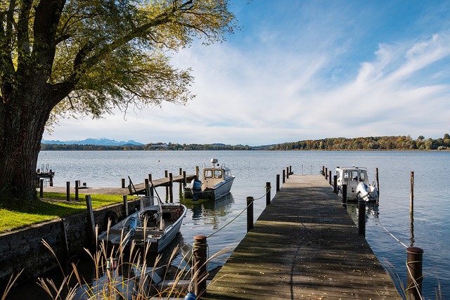 这一声音得 这一声音得