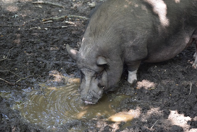 在内的重要 在内的重要