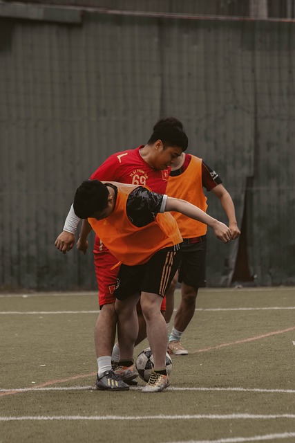 仅依靠政府 仅依靠政府