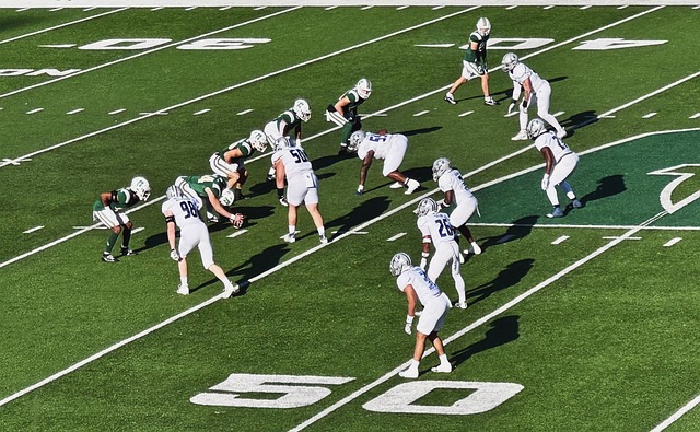 盖运动员心 盖运动员心